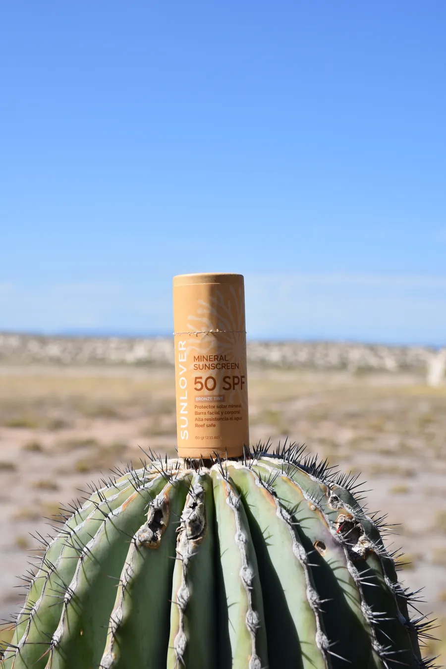 Comunidad Sunlover — barra sobre un cactus en el desierto